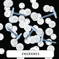 Engrane para limpia parabrisas