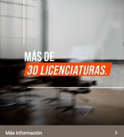 LICENCIATURAS 