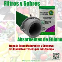 Sobres y Filtros Absorbentes de Etileno