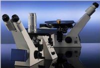 Microscopio