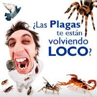 servicios de fumigaciones