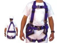ARNES DE SEGURIDAD