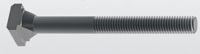Tornillo TEE