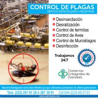 Servicio de Fumigacion